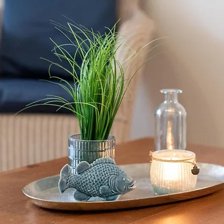 شقة Haus Mittelstr Whg 2 Eg Rechts فيسترلاند